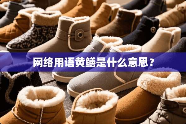 网络用语黄鳝是什么意思？