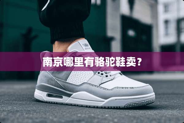 南京哪里有骆驼鞋卖？