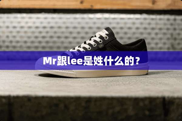 Mr跟lee是姓什么的？