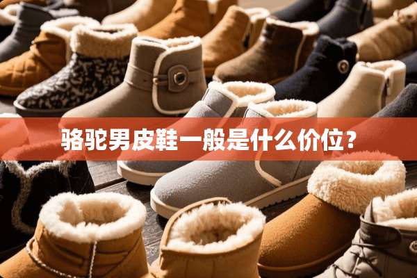 骆驼男皮鞋一般是什么价位？