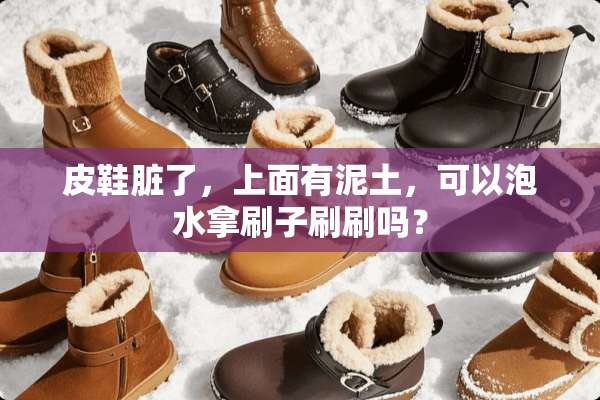 皮鞋脏了，上面有泥土，可以泡水拿刷子刷刷吗？