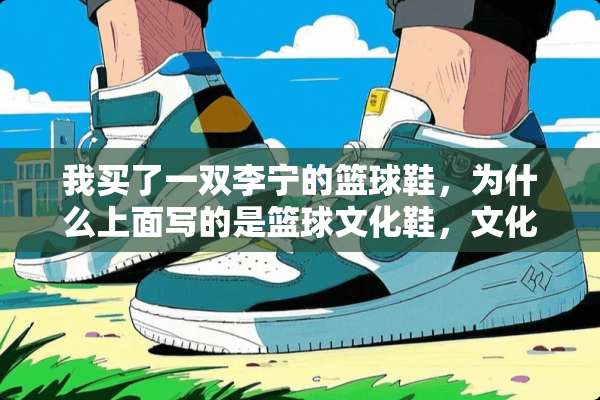 我买了一双李宁的篮球鞋，为什么上面写的是篮球文化鞋，文化鞋是什么意思？