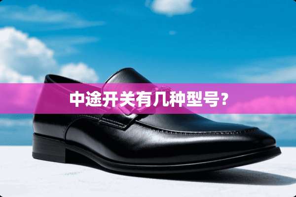 中途开关有几种型号？