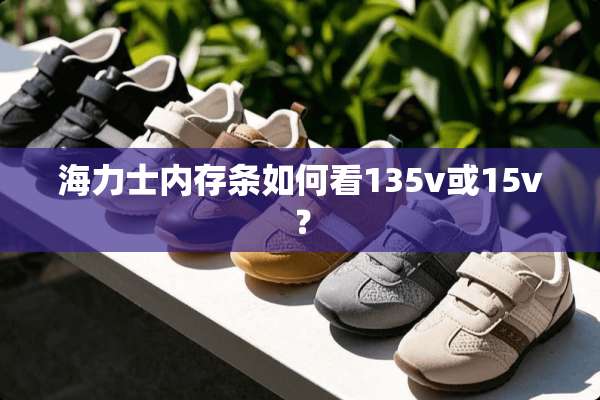 海力士内存条如何看135v或15v？