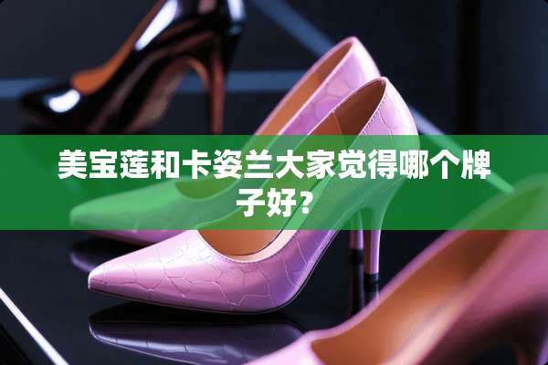 美宝莲和卡姿兰大家觉得哪个牌子好？