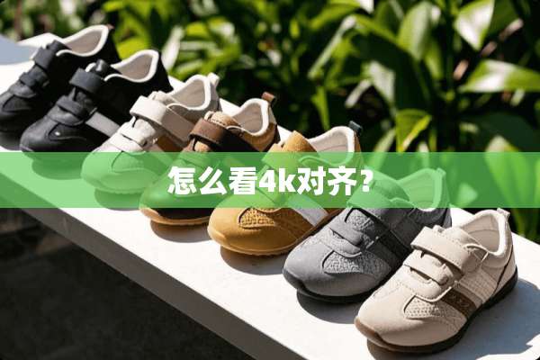 怎么看4k对齐？