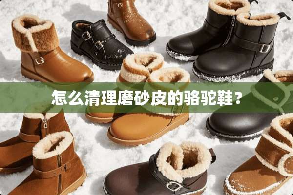 怎么清理磨砂皮的骆驼鞋？