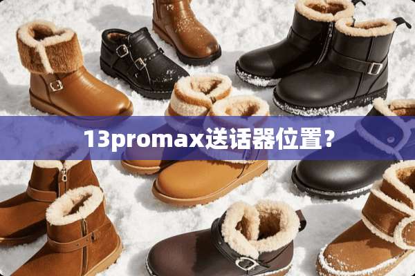 13promax送话器位置？