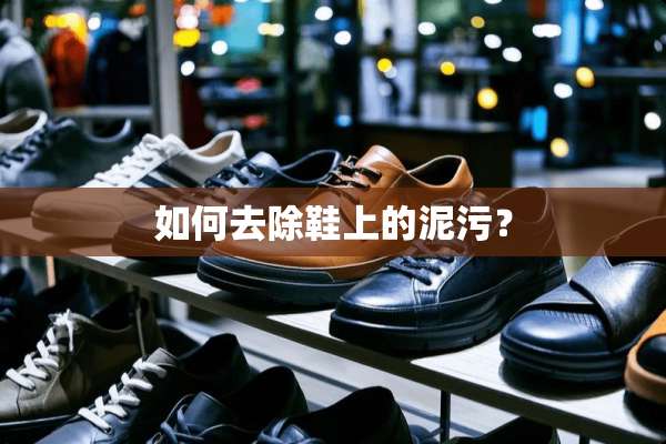 如何去除鞋上的泥污？