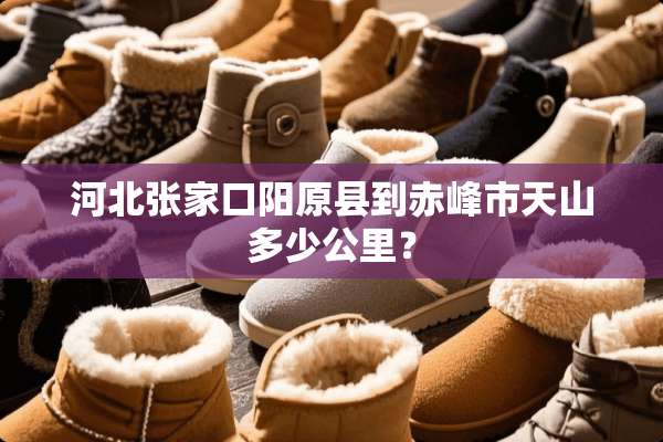 河北张家口阳原县到赤峰市天山多少公里？