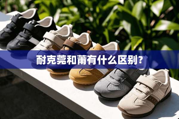 耐克莞和莆有什么区别？