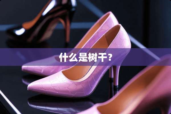 什么是树干？