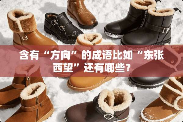 含有“方向”的成语比如“东张西望”还有哪些？