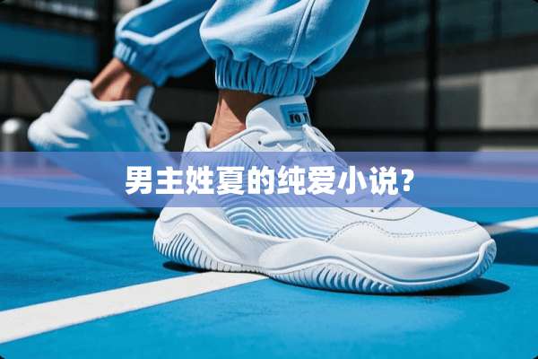 男主姓夏的纯爱小说？