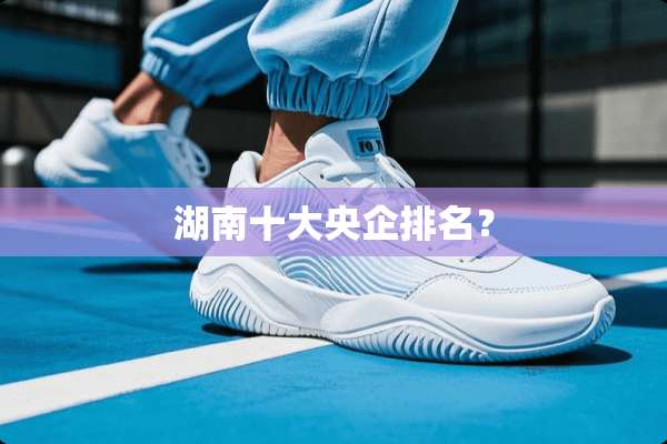 湖南十大央企排名？