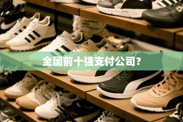 全国前十强支付公司？