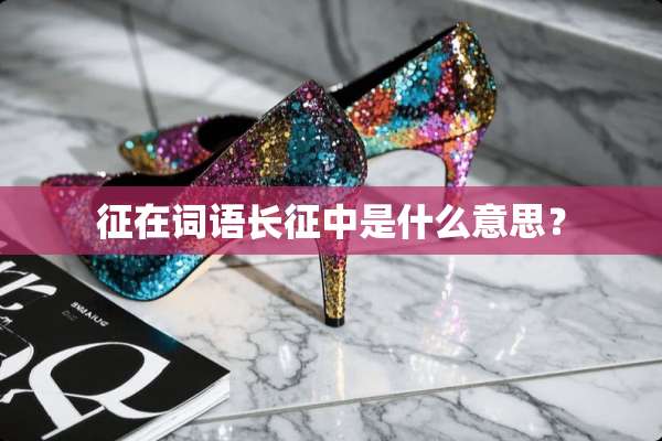 征在词语长征中是什么意思？