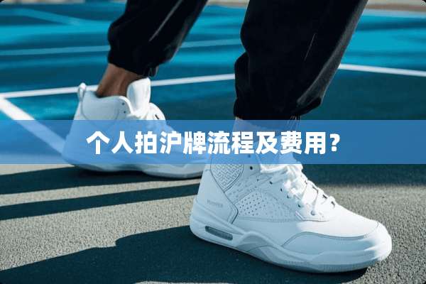 个人拍沪牌流程及费用？