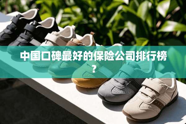 中国口碑最好的保险公司排行榜？