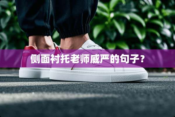 侧面衬托老师威严的句子？