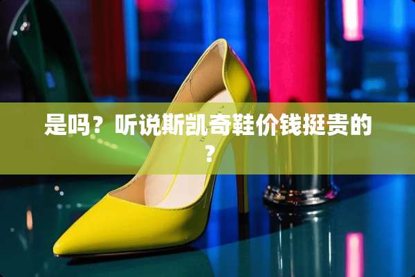 是吗？听说斯凯奇鞋价钱挺贵的？