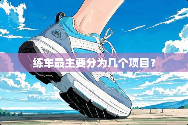 练车最主要分为几个项目？