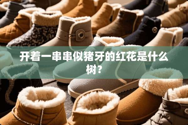 开着一串串似猪牙的红花是什么树？