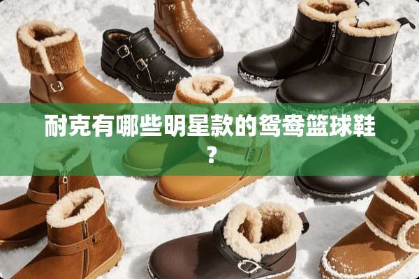 耐克有哪些明星款的鸳鸯篮球鞋？