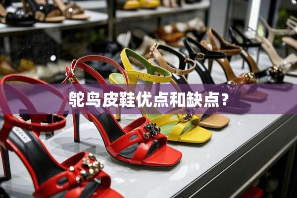 鸵鸟皮鞋优点和缺点？