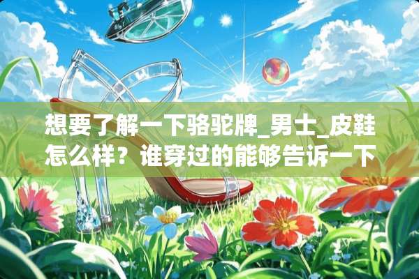 想要了解一下骆驼牌_男士_皮鞋怎么样？谁穿过的能够告诉一下吗？