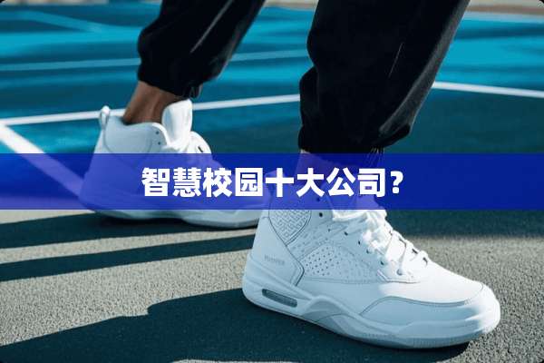 智慧校园十大公司？