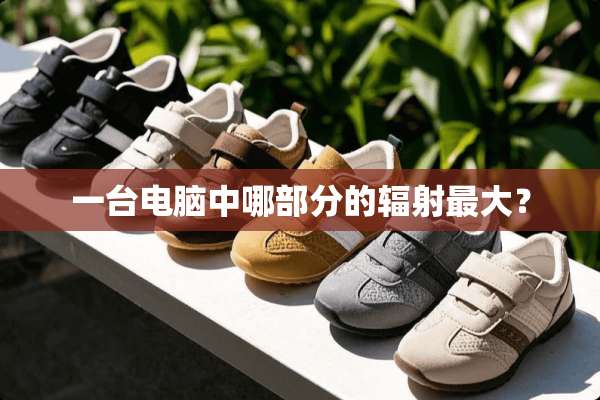 一台电脑中哪部分的辐射最大？