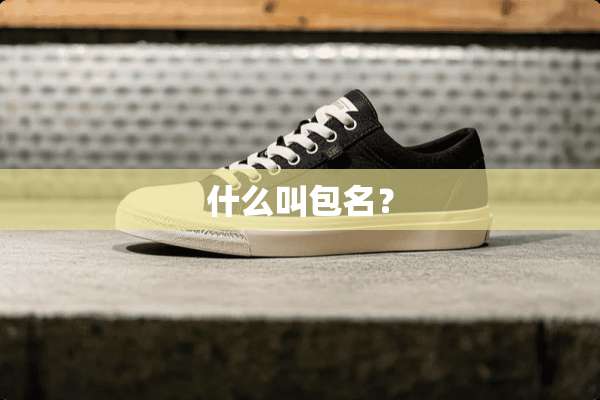 什么叫包名？