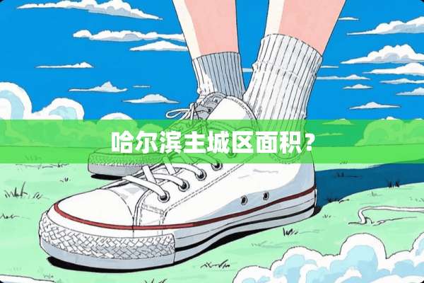 哈尔滨主城区面积？