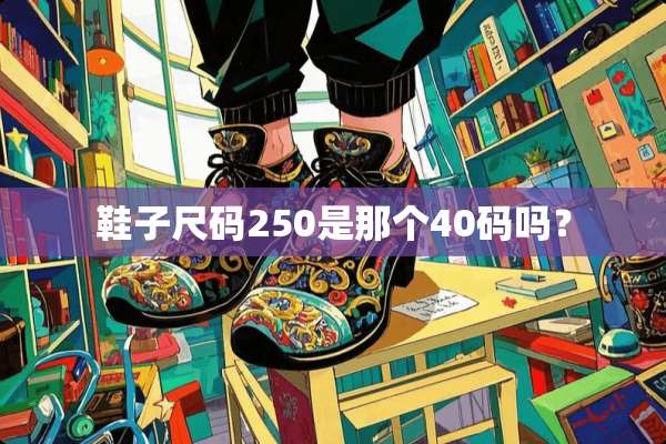 鞋子尺码250是那个40码吗？