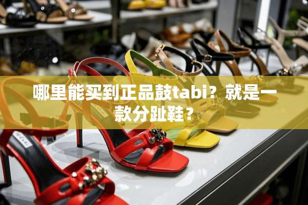 哪里能买到正品鼓tabi？就是一款分趾鞋？