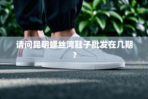 请问昆明螺丝湾鞋子批发在几期？