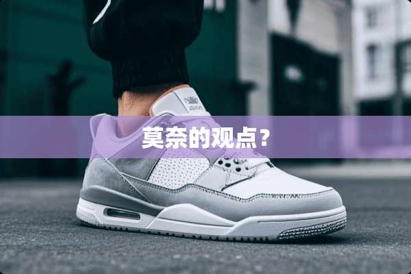 莫奈的观点？