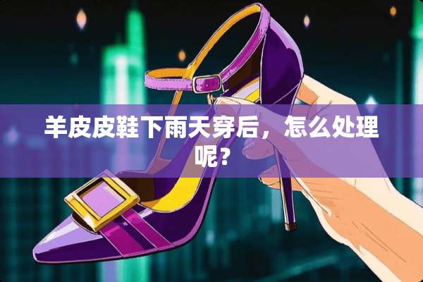 羊皮皮鞋下雨天穿后，怎么处理呢？