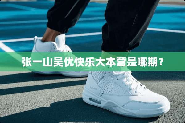 张一山吴优快乐大本营是哪期？