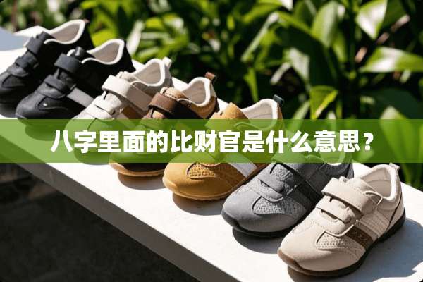 八字里面的比财官是什么意思？