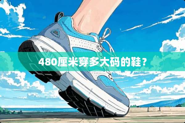 480厘米穿多大码的鞋？