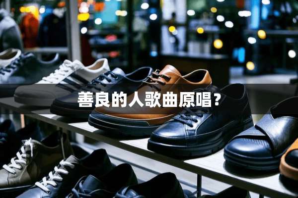 善良的人歌曲原唱？