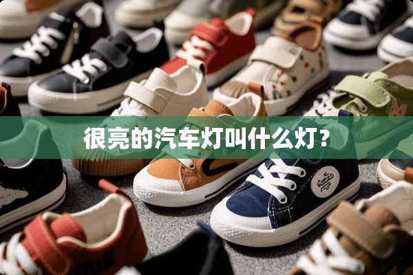 很亮的汽车灯叫什么灯？