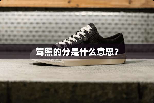 驾照的分是什么意思？