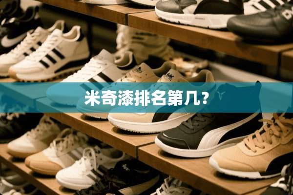 米奇漆排名第几？