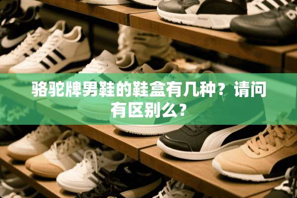 骆驼牌男鞋的鞋盒有几种？请问有区别么？