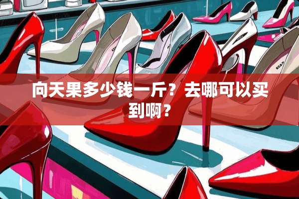 向天果多少钱一斤？去哪可以买到啊？