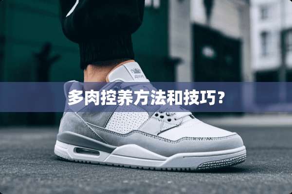 多肉控养方法和技巧？