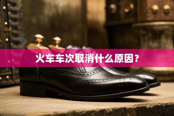 火车车次取消什么原因？